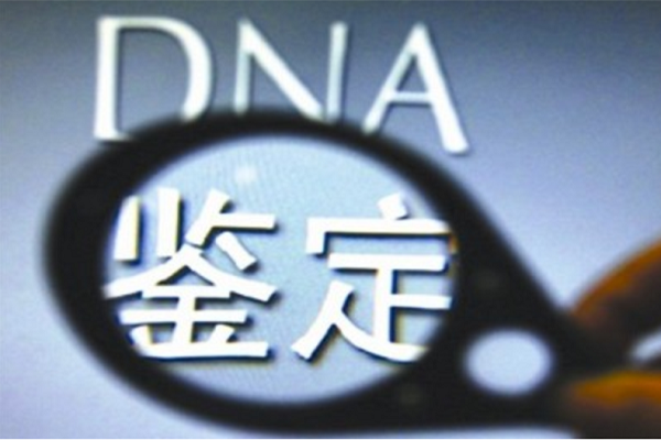 乐山DNA亲子鉴定费用