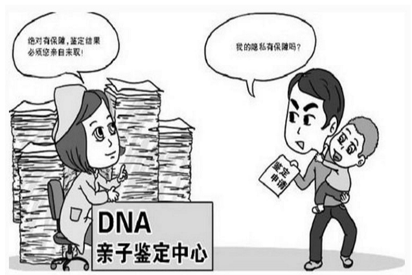 延安DNA亲子鉴定材料